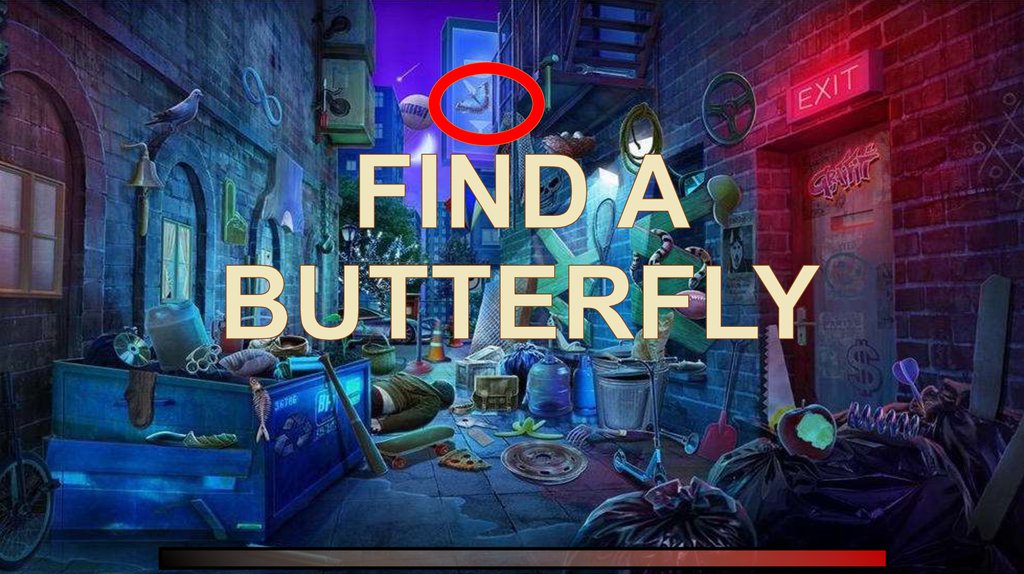 FIND A BUTTERFLY