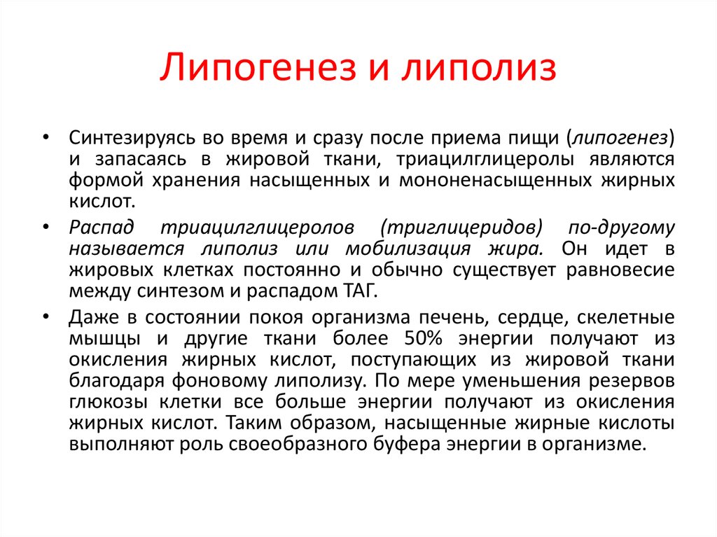 Липогенез и липолиз