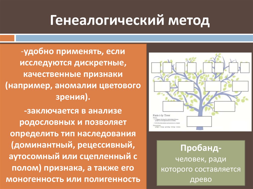 Генеалогический метод используют для определения