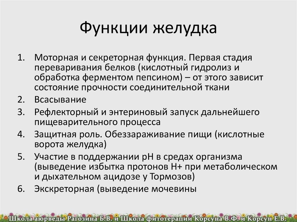 Обработка ферментом. Функции желудка. Основные функции желудка. Основные функции желудка таблица. Перечислите функции желудка.