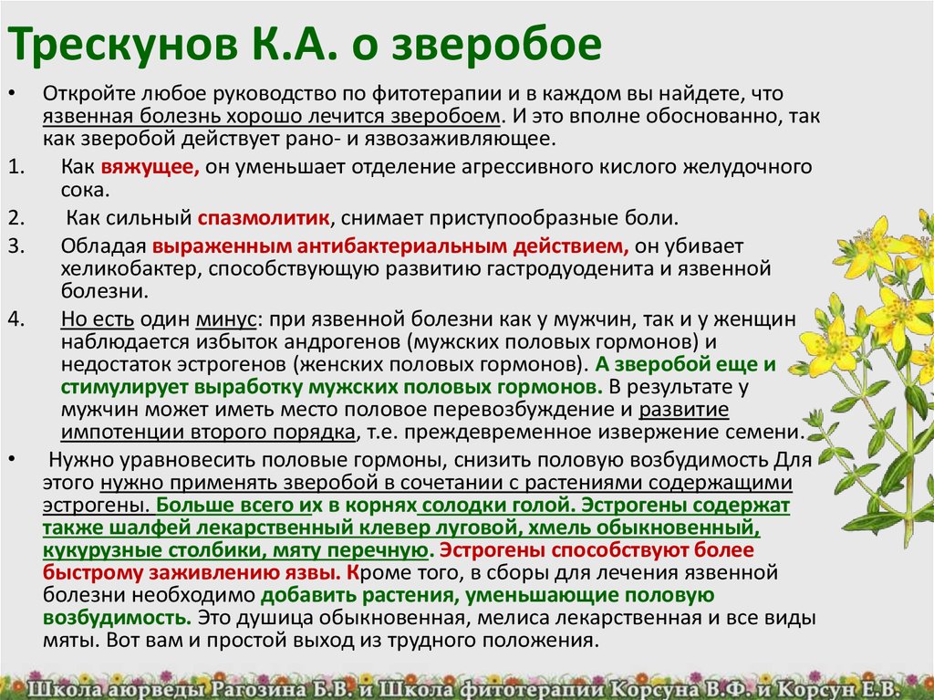 Зверобой влияние. Фитотерапия в гастроэнтерологии. Травы понижающие эстроген. Травы для снижения эстрогенов. Фитотерапия язвенной болезни.