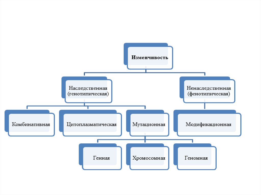 Типы изменчивости