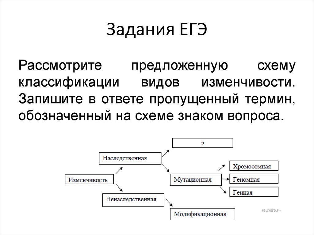 Рассмотрите предложенную схему запишите в ответе пропущенный термин