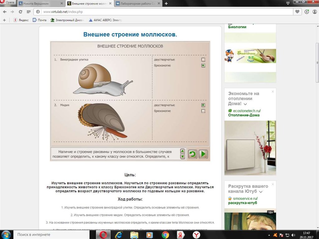 Лабораторная работа строение моллюсков. ВИРТУЛАБ внешнее строение моллюсков. ВИРТУЛАБ биология 7 класс. ВИРТУЛАБ биология 7 класс изучение внешнего строения птиц. ВИРТУЛАБ картинки.
