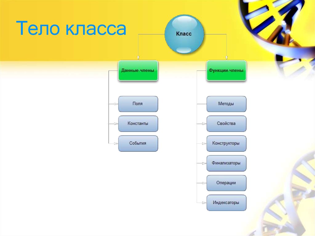 Тело класса. Описание класса какой класс может быть. Описать класс содержащий поля и методы. Описать класс модели php.