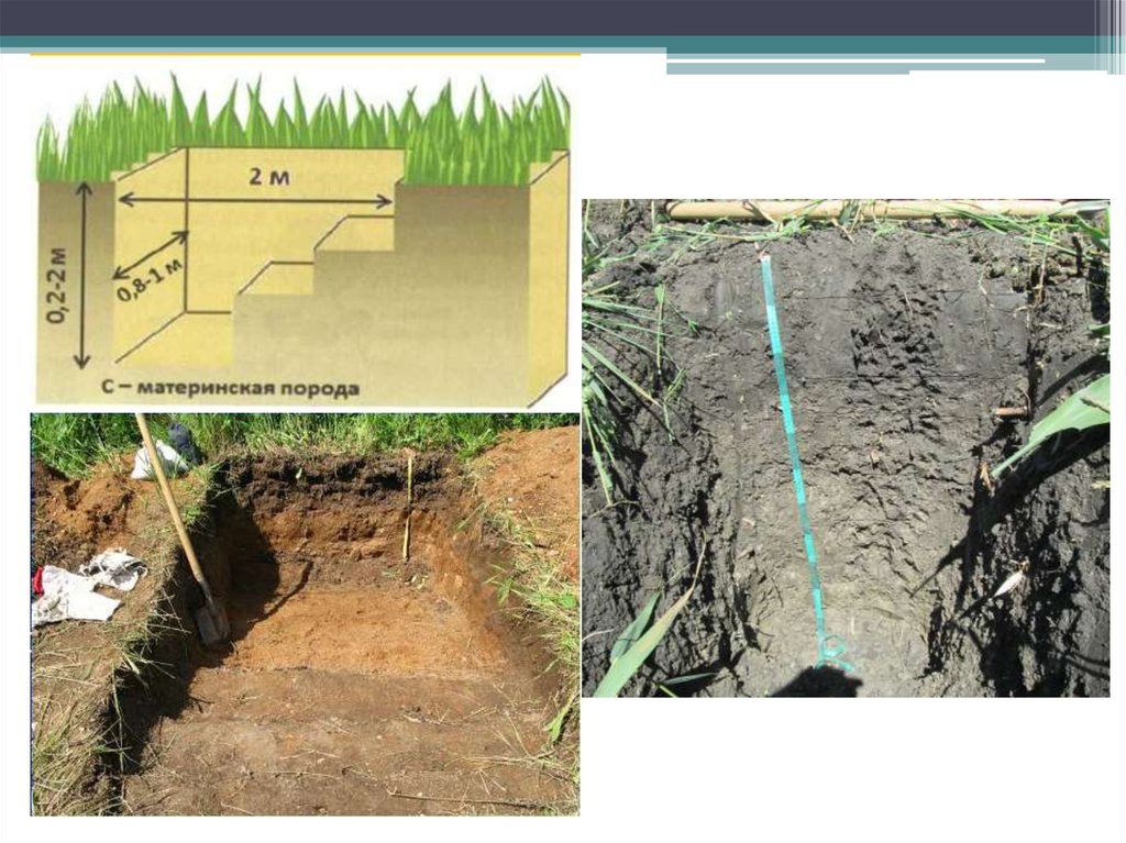 Схема закладки почвенного разреза