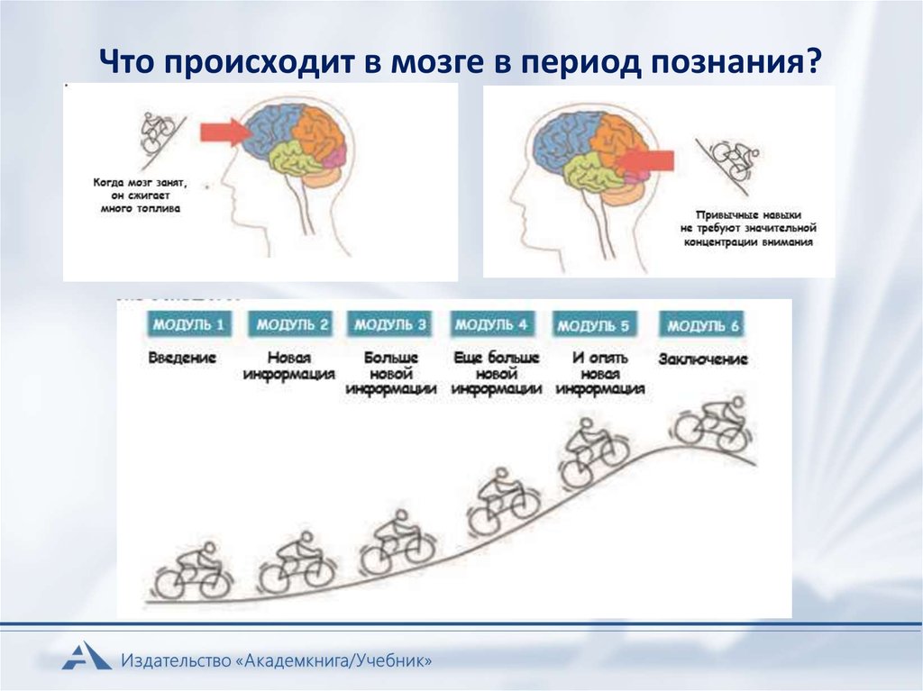 Столько планов есть в моем мозгу