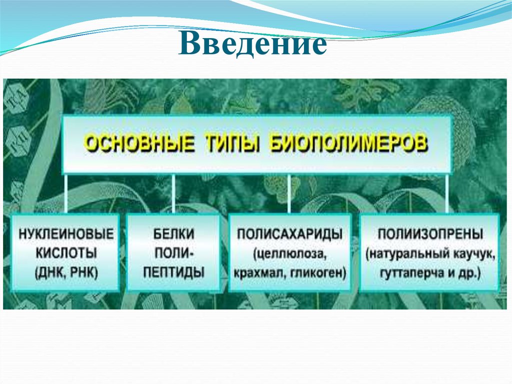 Высокомолекулярные соединения каучук. Общая характеристика высокомолекулярных соединений.