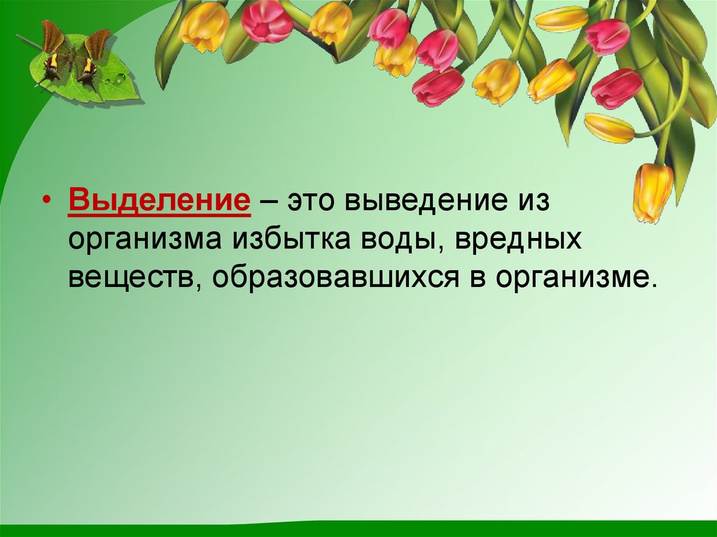 Выделение у растений и животных 6 класс пасечник презентация