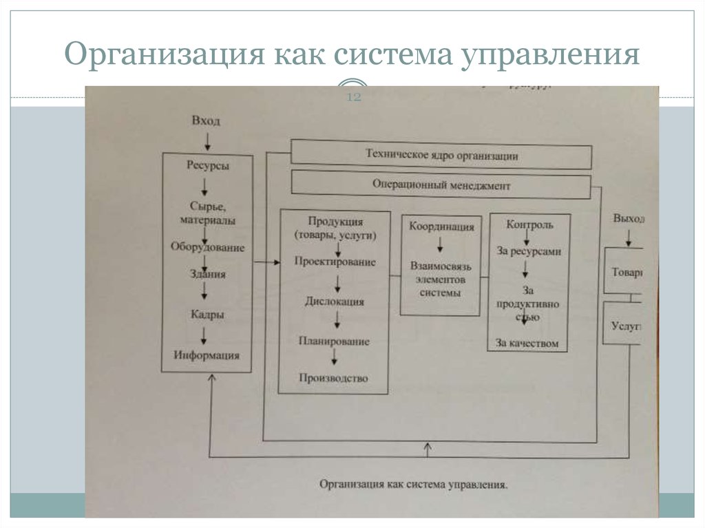 12 организация. Организация как система управления. Организация как система в менеджменте. Операциональная организационная структура управления. Организация как система и структура.