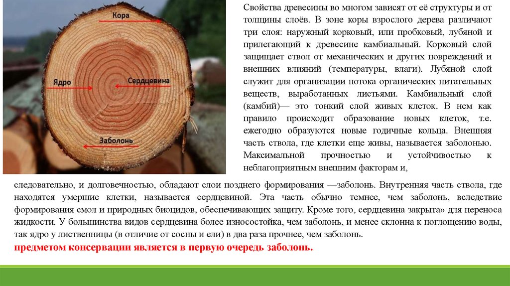 Контрольная работа по теме Свойства и применение древесины
