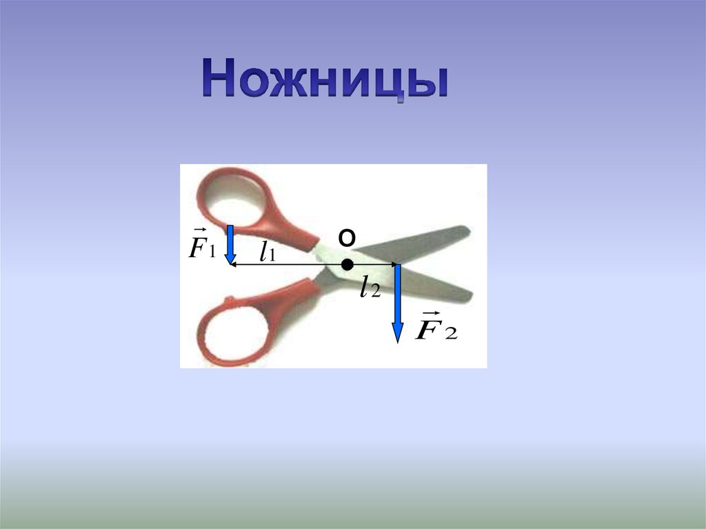 Пользуясь рисунком 169 объясните действие ножниц как рычага