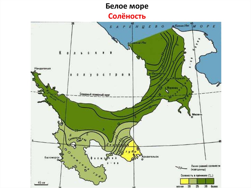 Температура белого моря январь и июль. Климатическая карта белого моря. Климат белого моря карта. Соленость белого моря. Карта солености белого моря.