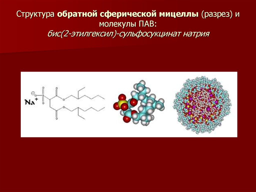 Пав презентация химия