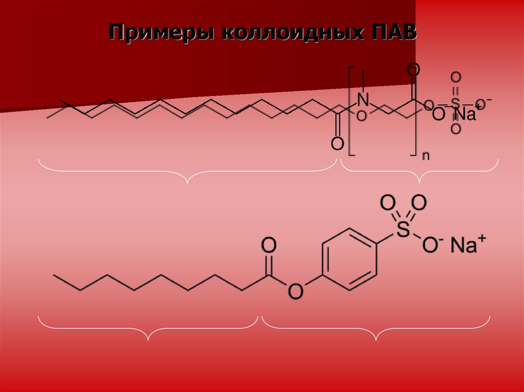 Пав картинки для презентации