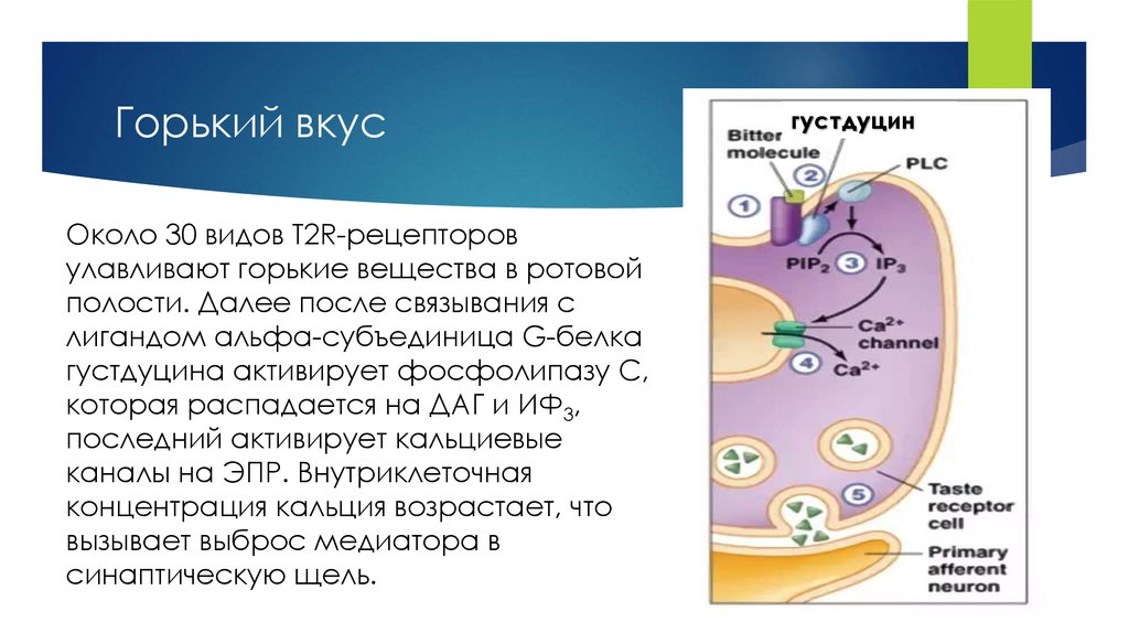 Горький вкус сигарет напоминал момент песня