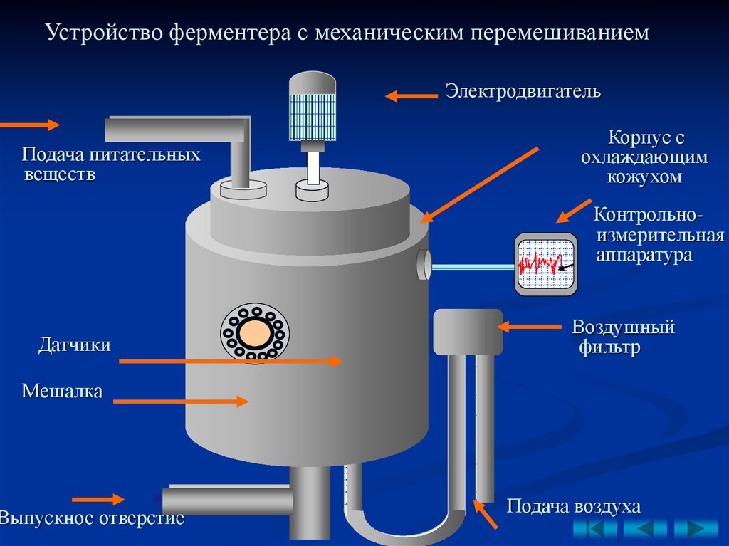 Как работает бак. Ферментер для периодического культивирования микроорганизмов. Биореактор ферментер Solaris m50. Биореактор с механическим перемешиванием. Биореактор строение.