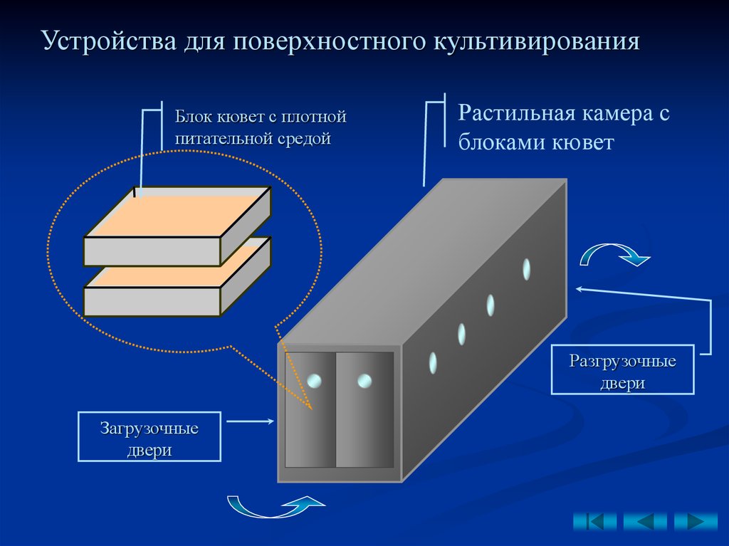 Поверхностная технология. Поверхностный метод культивирования продуцентов ферментов. Поверхностный способ культивирования микроорганизмов. Поверхностное культивирование. Методы поверхностного и глубинного культивирования.