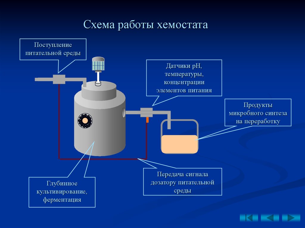 Культивирования микроорганизмов презентация