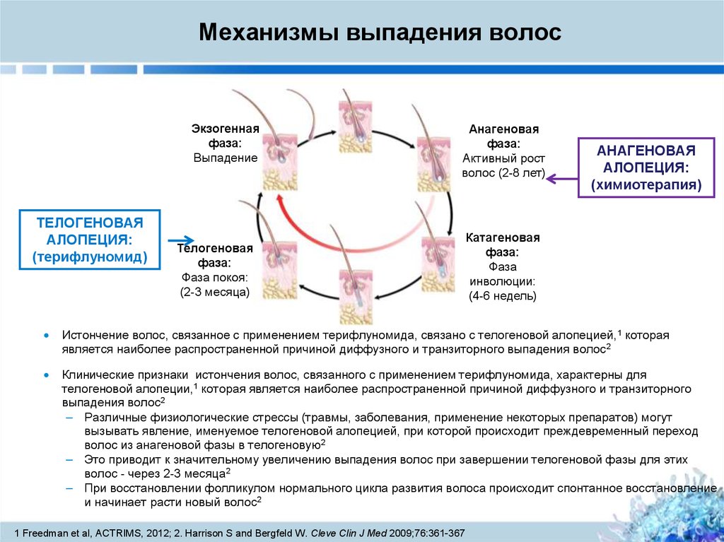 При рассеянном склерозе выпадают волосы что делать