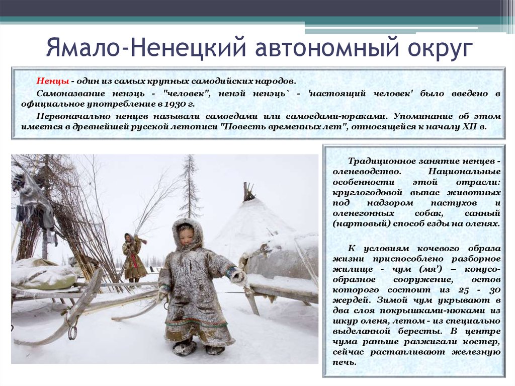 Сколько ненцев. Коренные народы Ямало-Ненецкого автономного округа. Народы крайнего севера. Традиционные занятия ненцев. Народы севера ненцы.