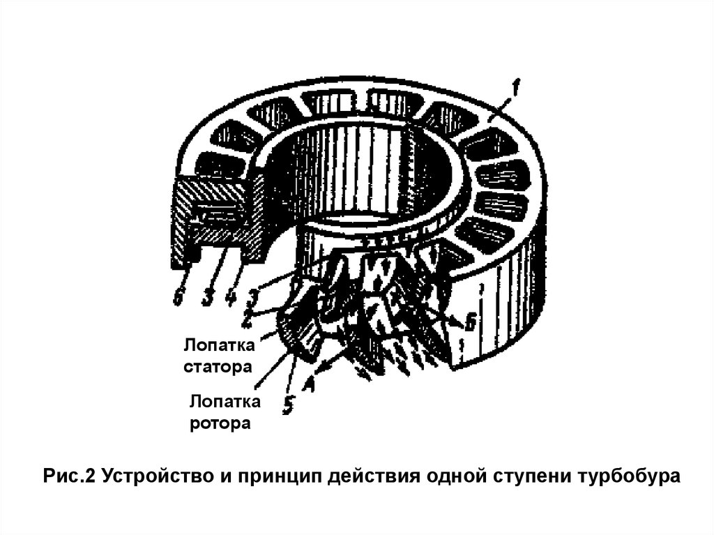 Статору подвижному ротору. Лопатка статора турбины. Ротор с лопатками. Турбобур ротор и статор. Ступень турбины турбобура.