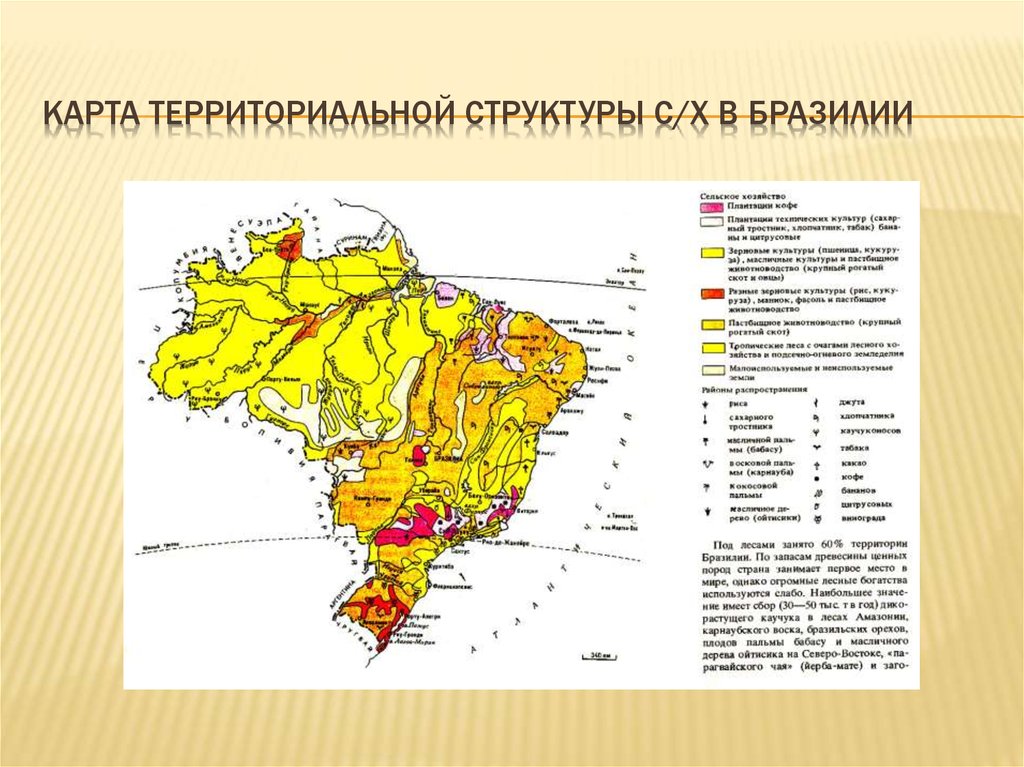 Карта территориальной структуры с/х в бразилии