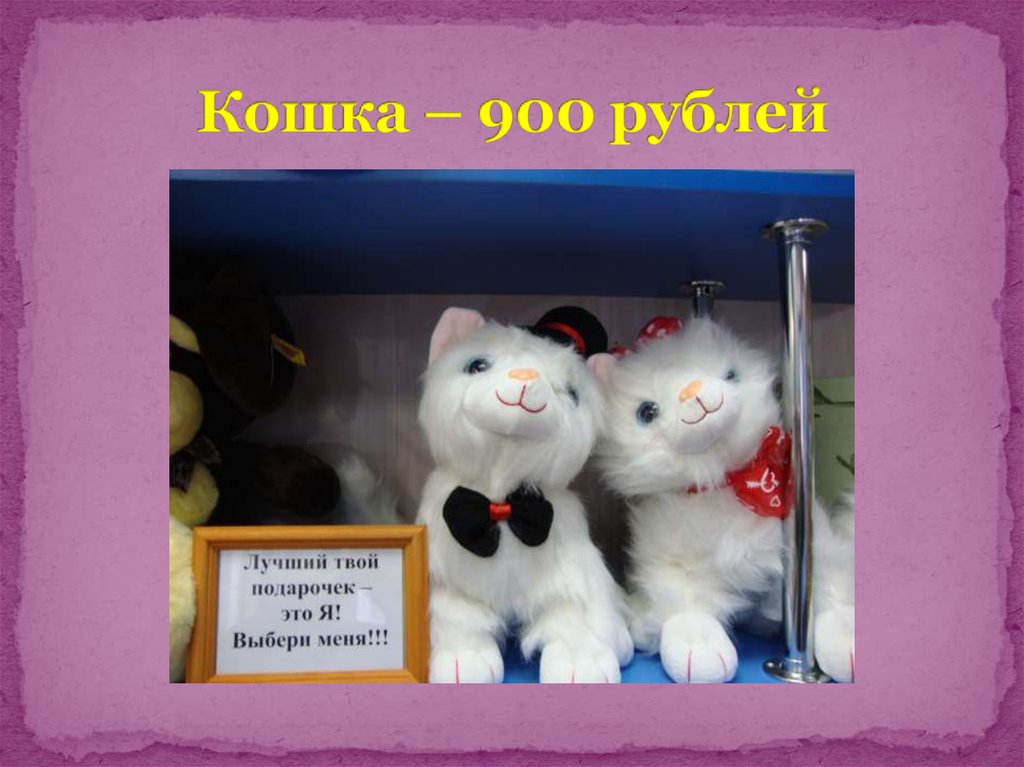 Кошка – 900 рублей