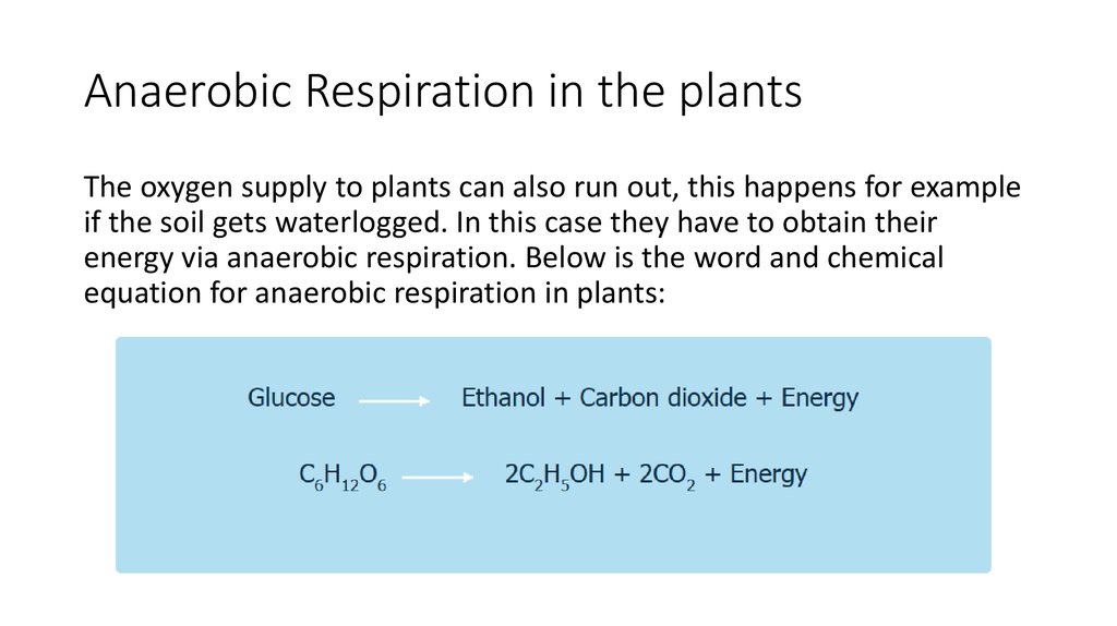 Chemical Equation For Anaerobic Cellular Respiration Tessshebaylo