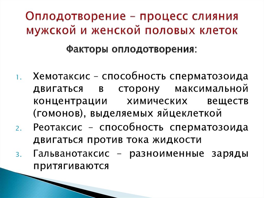 Как называется процесс слияния мужских и женских