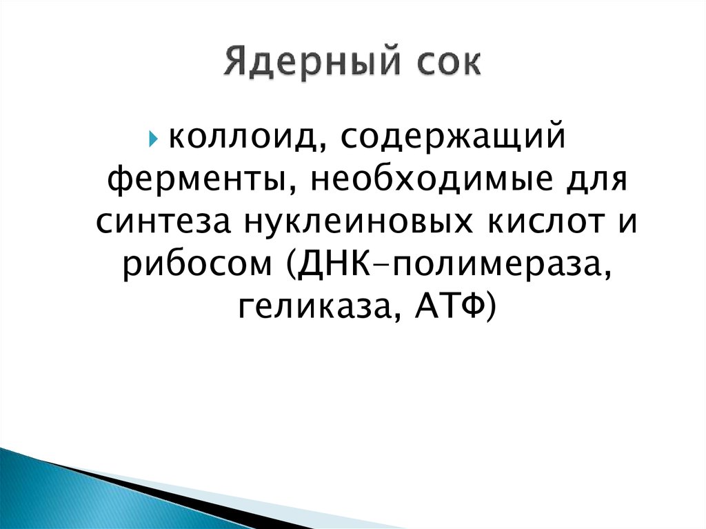 Ядерный сок. Ядерный сок функции. Ядерный сок строение и функции. Ферменты ядерного сока.