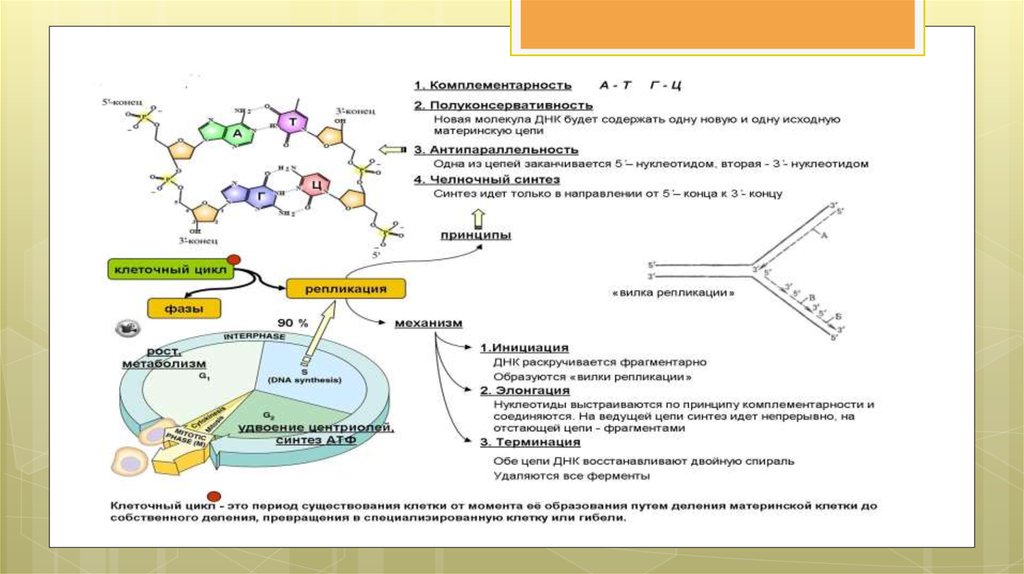 pdf quantitative methoden 2 einführung in die statistik 2 auflage