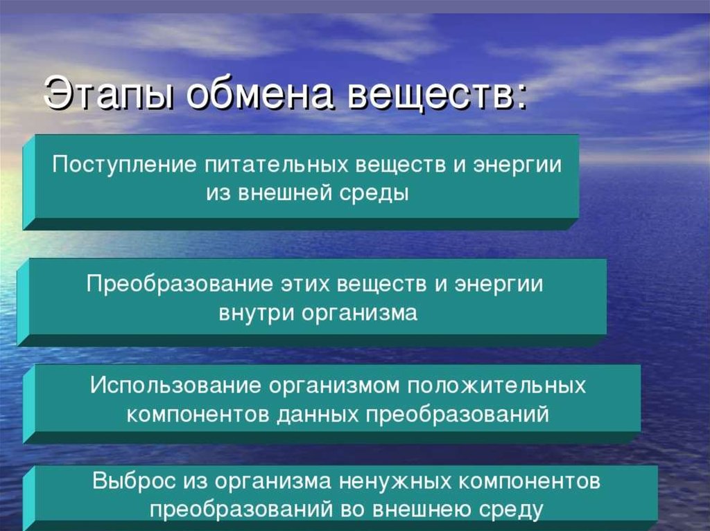 Физиология обмен веществ презентация