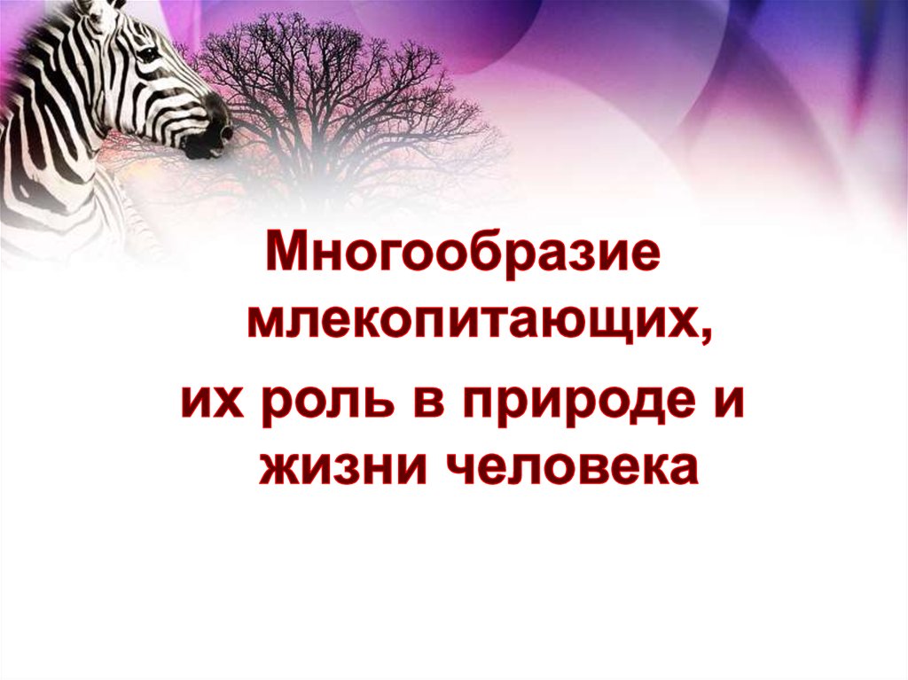 Роль млекопитающих в жизни человека презентация