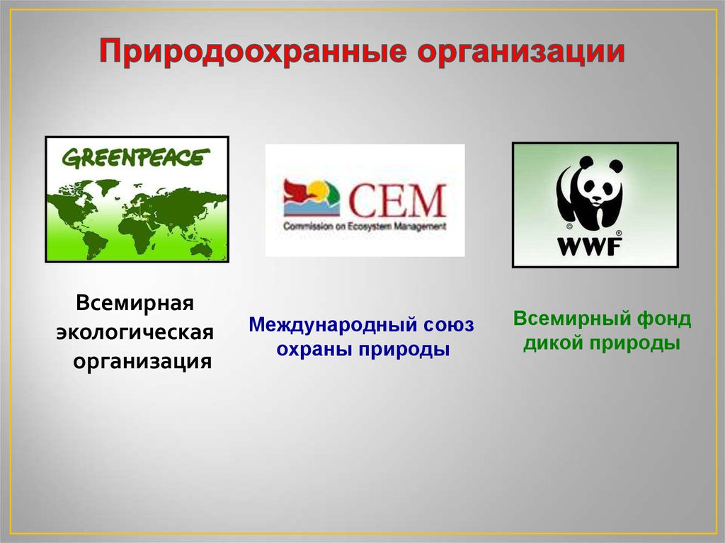 Экологическая организация презентация. Прироохранные организация. Международные организации охраны природы. Экологические организации. Природоохранные организации.