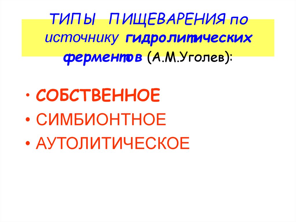 Типы пищеварения