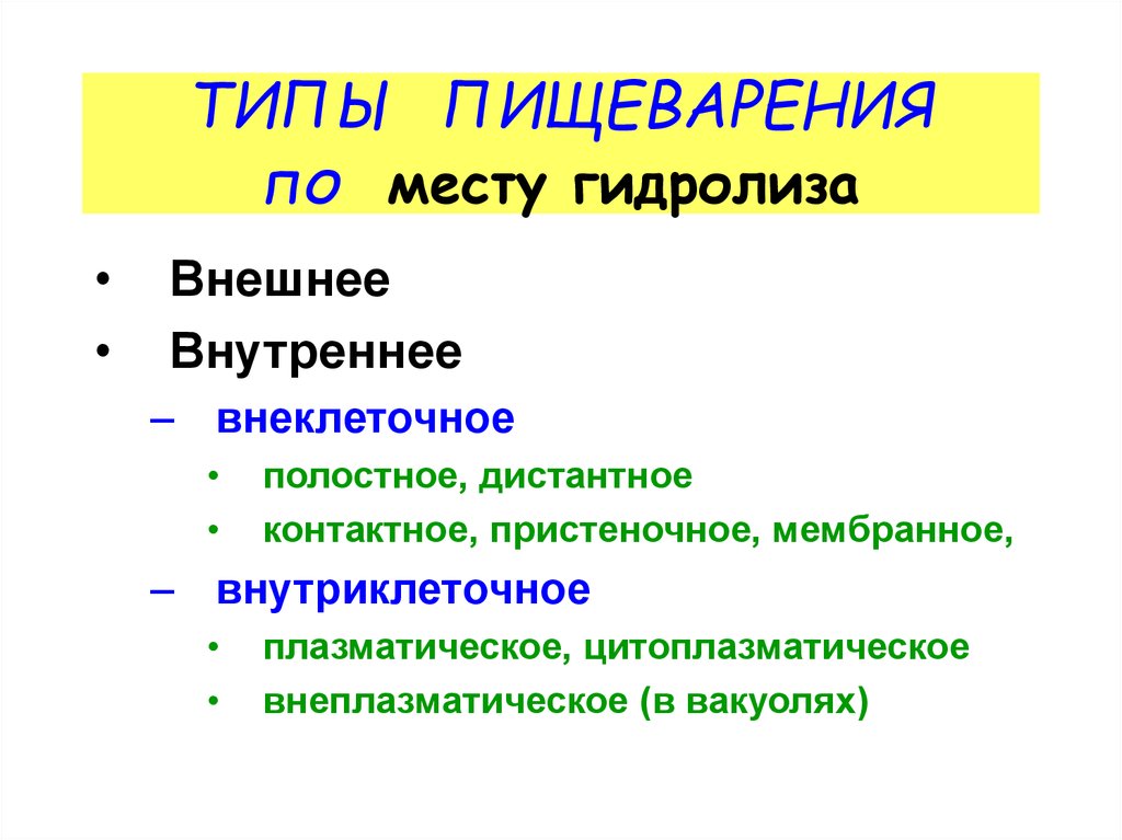 Типы пищеварения. Типы пищеварения по месту гидролиза. Внутриклеточное цитоплазматическое пищеварение. Внеклеточный Тип пищеварения.