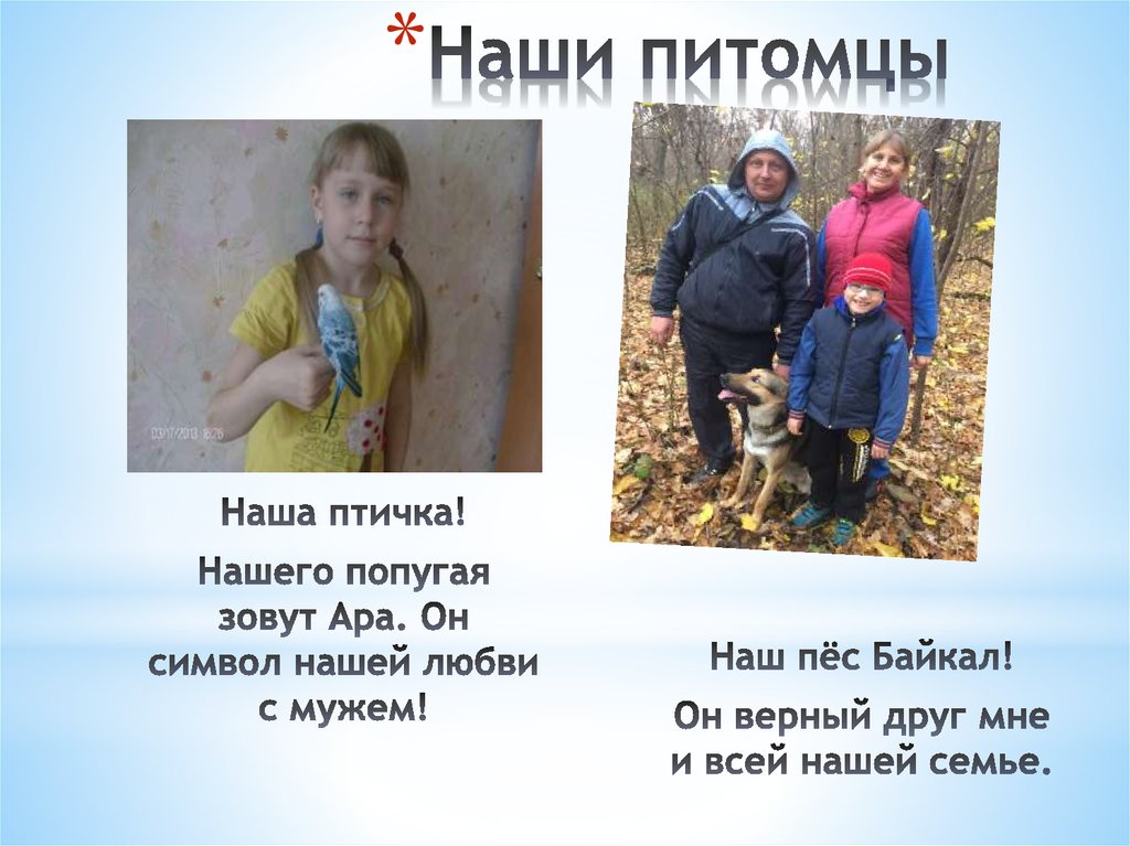 Наши питомцы