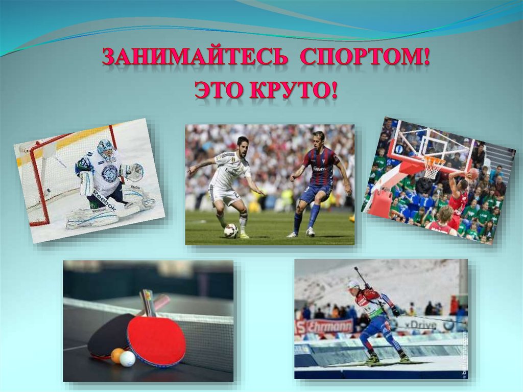 Спортивные плакаты современные. Спарта. Надпись спорт. Спорт наше все. Спорт это жизнь.