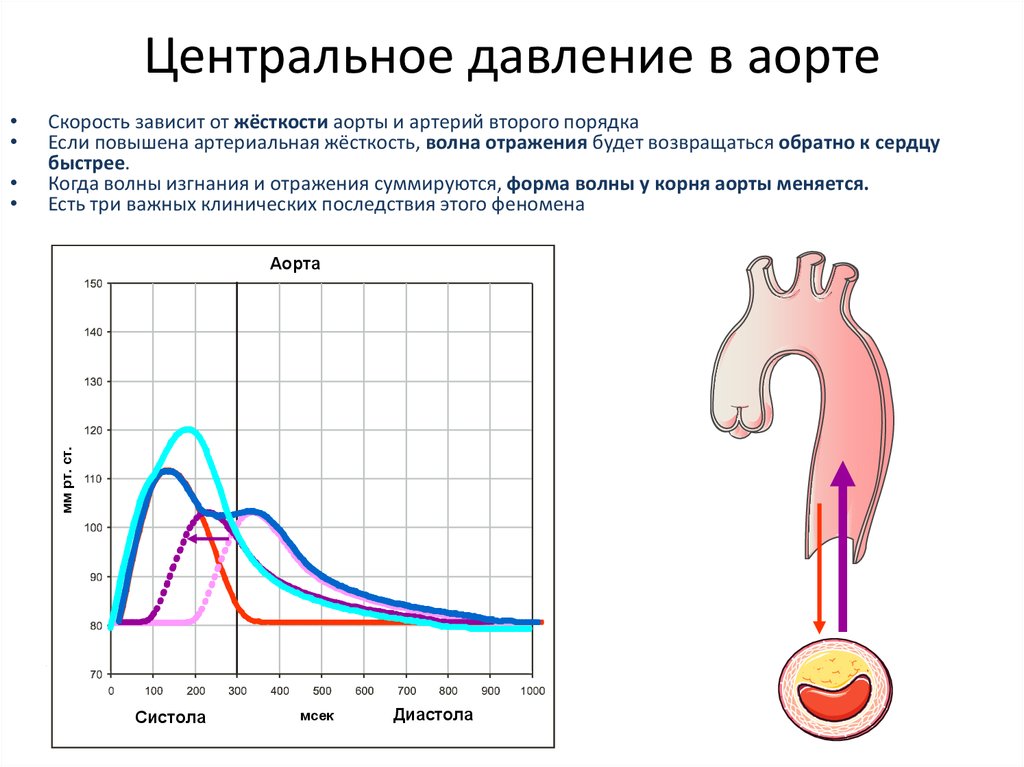 Давление в аорте в систолу