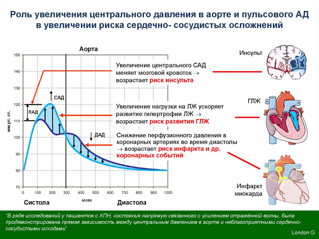 Диаграмма давления и объема крови для желудочков сердца