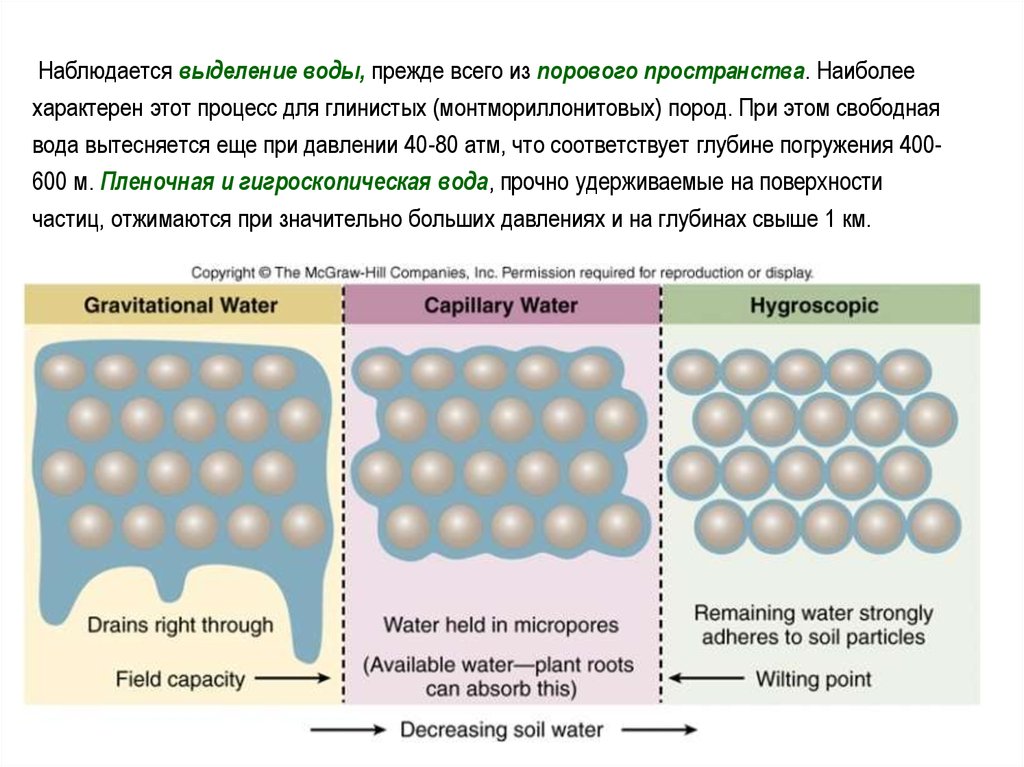 Выделяется вода. Модель порового пространства. Методы изучения порового пространства. Концепт свободного порового пространства.