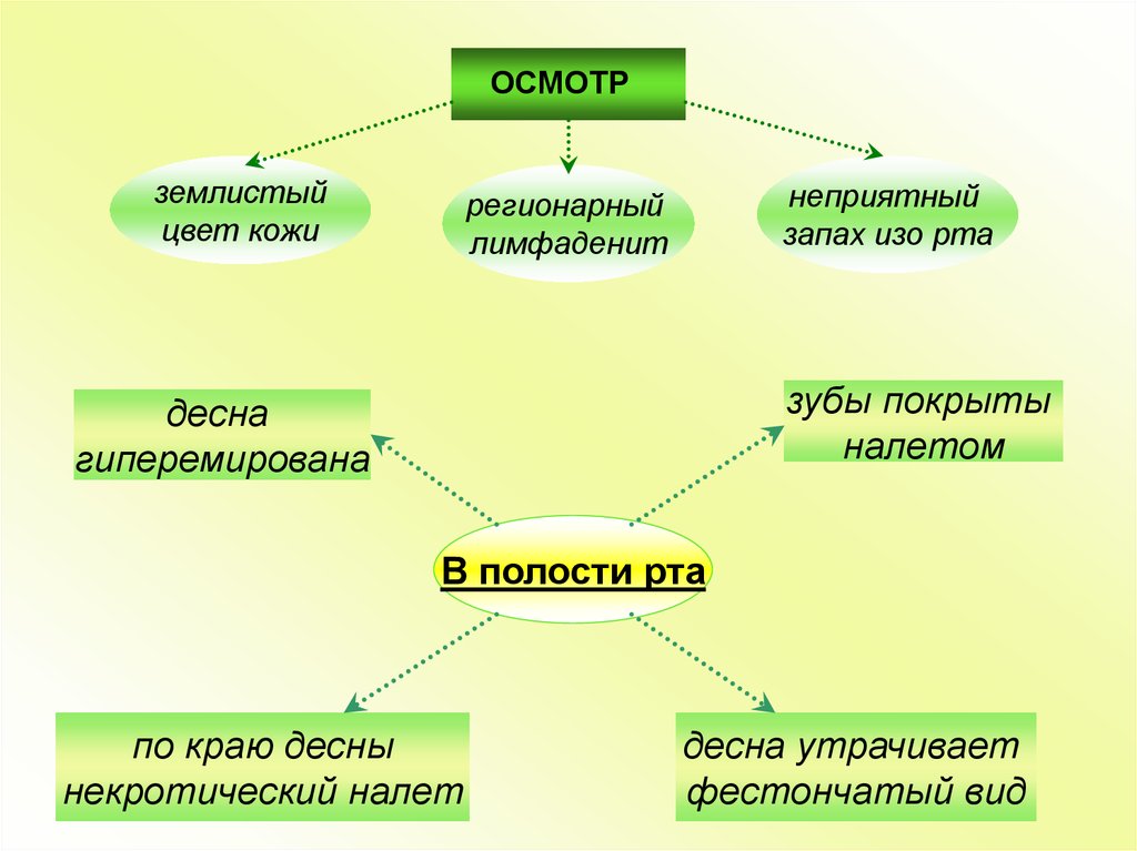 Значение слова землистый. Патогенез землистого оттенка кожи.