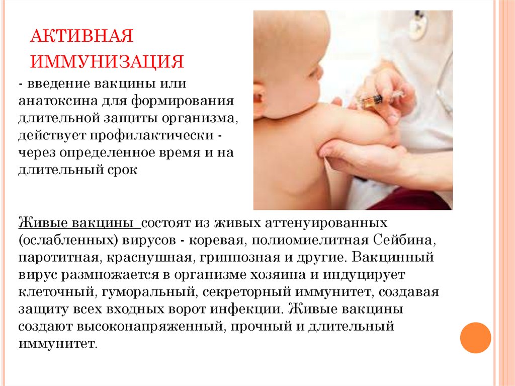 Анатомические области введения вакцин. Вакцины и иммунизация. Места введения вакцин. Активная иммунизация. Активная иммунизация (вакцинация).