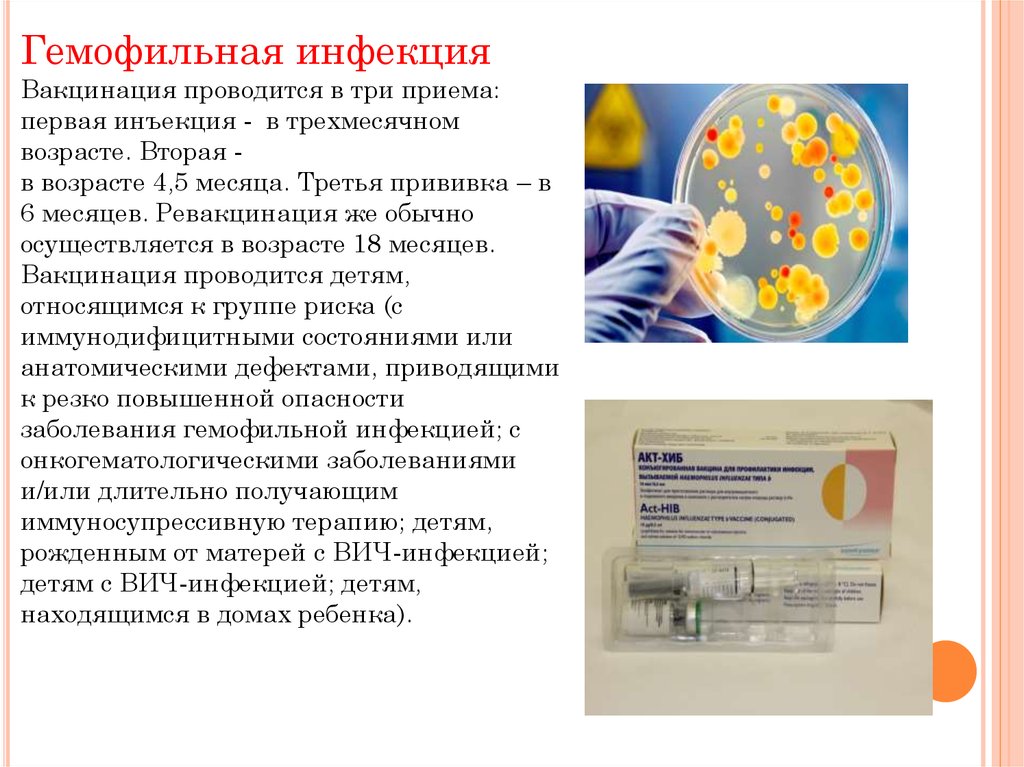 Haemophilus influenzae. Гемофильная инфекция прививка вакцина. Гемофильная палочка вакцинация схема. Специфическая профилактика гемофильной инфекции. Гемофильная инфекция прививка ревакцинация.