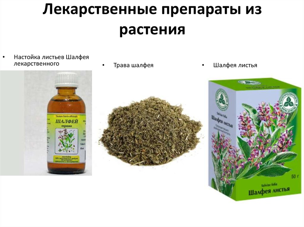 Лекарственные препараты из растения