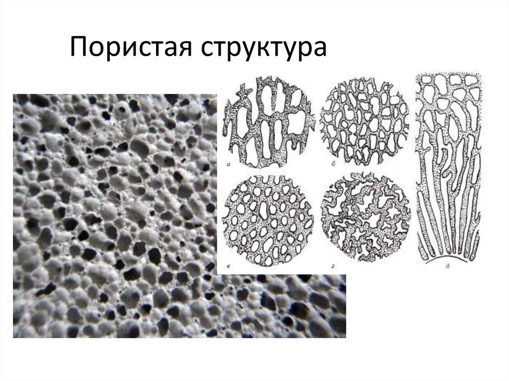 Ячеистый рисунок кожи