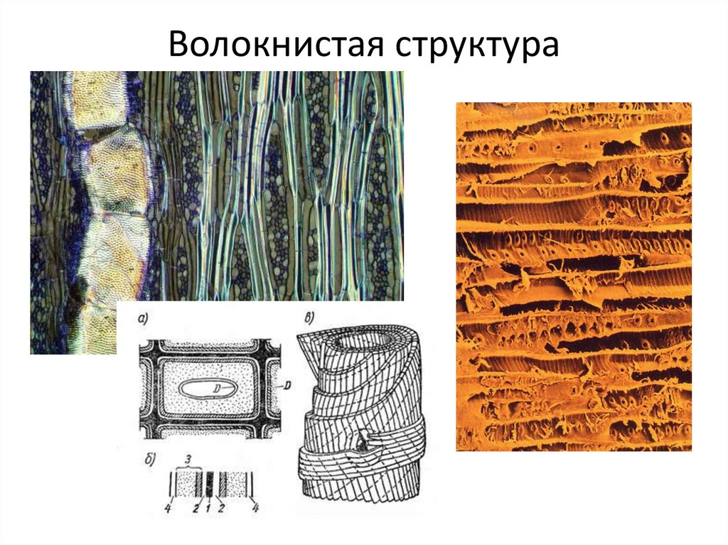 Строение материалов. Волокнистая структура материала. Волокнистое строение. Волокнистая структура строительного материала. Волокнистое строение материала.