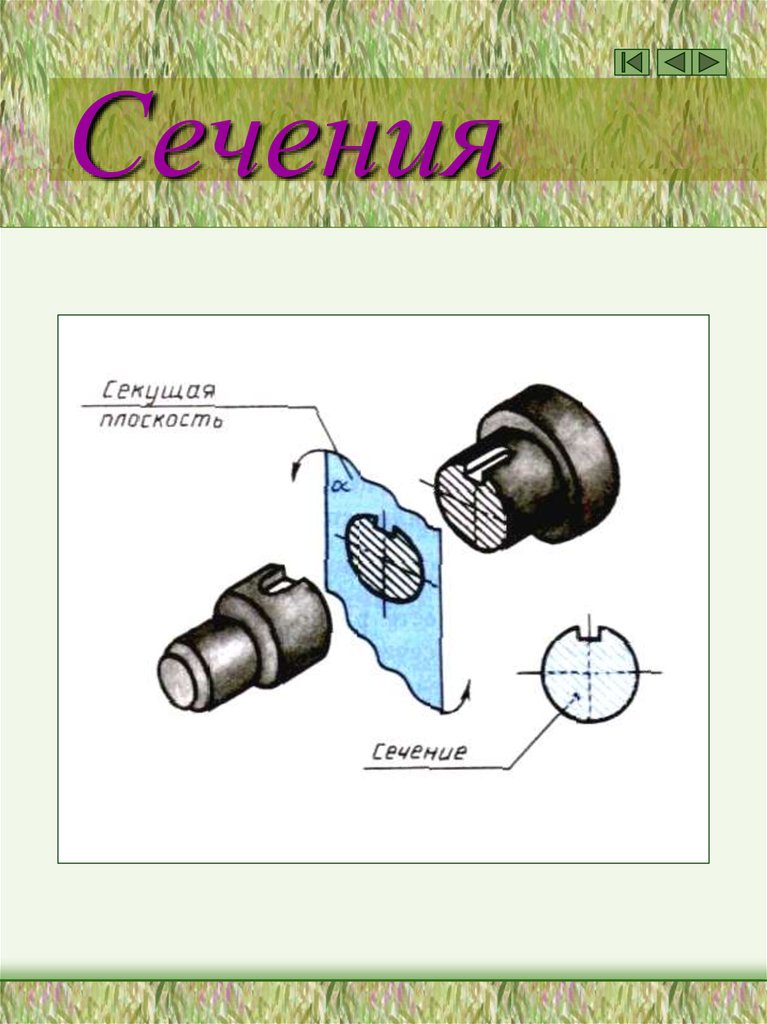 Сечения. Тест - презентация онлайн