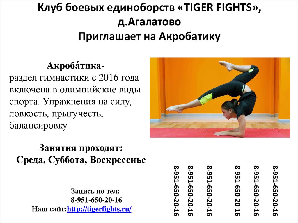 Клуб боевых единоборств «TIGER FIGHTS», д.Агалатово Приглашает на Акробатику
